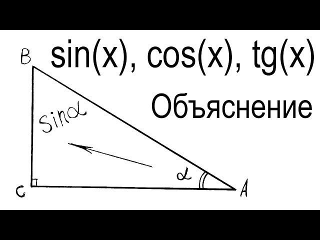 Что такое синус, косинус, тангенс и котангенс объяснение