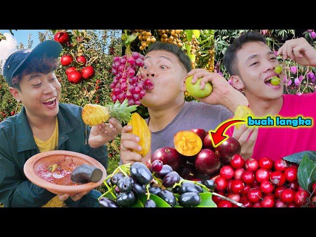 IBNU BERBURU BUAH-BUAHAN LANGKA DI HUTAN