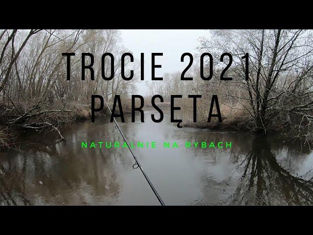 Trocie 2021 #1 Rozpoczęcie sezonu trociowego Parsęta 2021