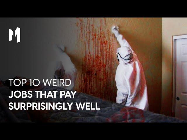 Top 10 Weird Jobs That Pay Surprisingly Well