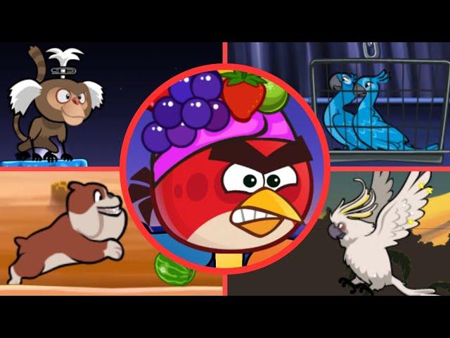 Angry Birds Rio Recaptured - All Bosses (Luta dos Bosses)