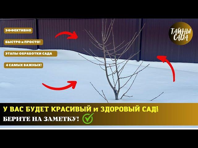 ЭФФЕКТИВНО! БЫСТРО! ПРОСТО! 4 ГЛАВНЫХ ЭТАПА ОБРАБОТКИ САДА ОТ БОЛЕЗНЕЙ И ВРЕДИТЕЛЕЙ В ТЕЧЕНИИ СЕЗОНА