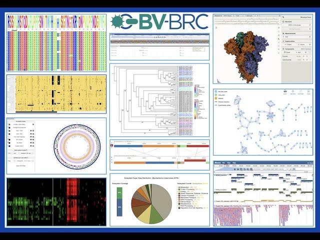 Introduction to BV-BRC