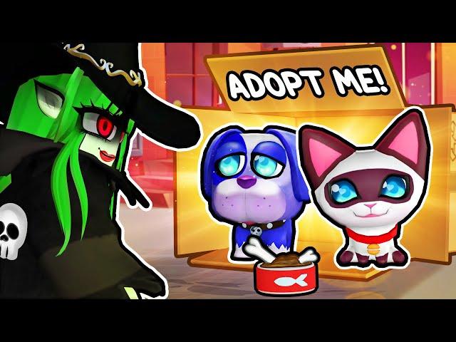 I Got Adopted by an EVIL WITCH in My Pet City Roblox!