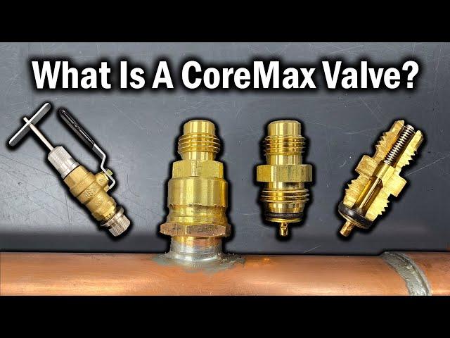 What is a COREMAX Valve and Port Assembly on HVAC Units?