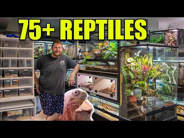 REPTILE ROOM TOUR APRIL 2022!!! | 75+ REPTILES!!