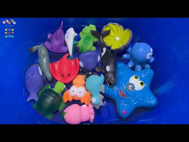 Learn Sea Animals  Sea Creatures Name in English Korean 바다동물, 바다생물 영어 이름 배우기