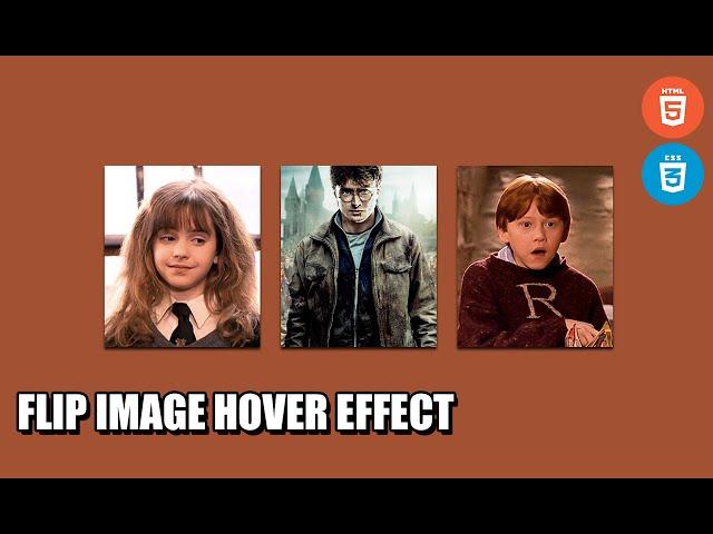 Flip Image Hover Effect CSS Tutorial | How to make Flip Effect in CSS?