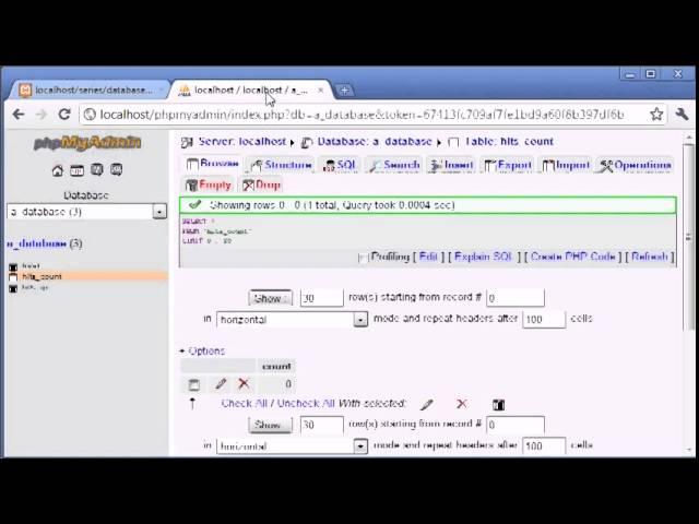 Creating a Database Hit Counter Part 2 Tutorial in PHP - MYSQL by For Student Organization