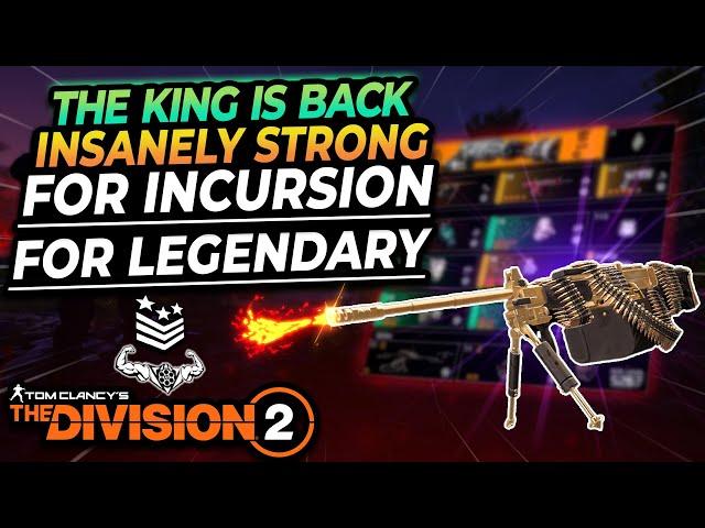 The Division 2 "STRIKER WITH BULLET KING JUST MELTS DOWN INCURSION AND LEGENDARY EASILY"