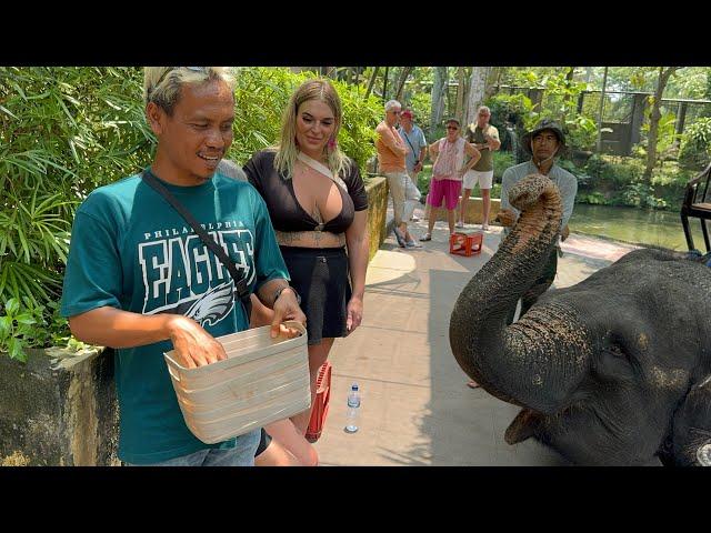 Cewek Australia Naik gajah #anakpantai #bule