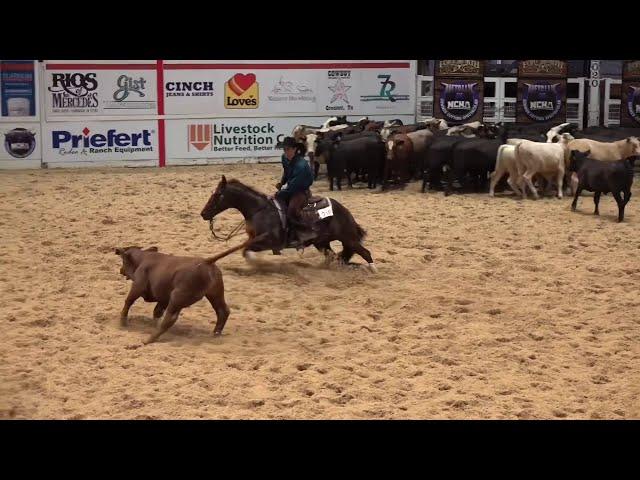 Sanctus  NCHA 9 Time Champion Cutting Horse. Standing 2021!!