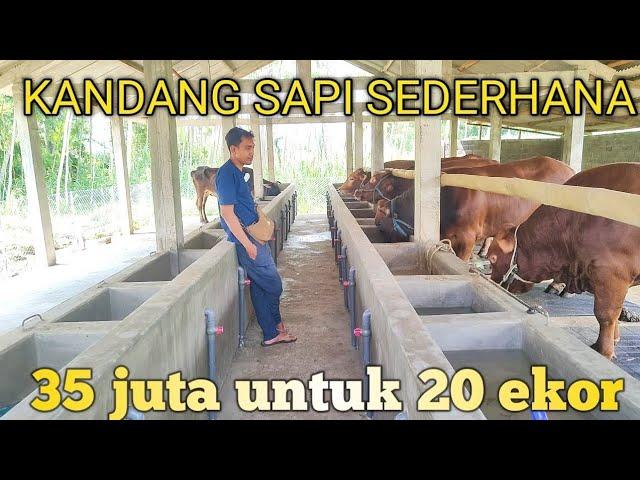 KANDANG SAPI SEDERHANA, MINIMALIS n IRIT BIAYA‼️35 juta saja