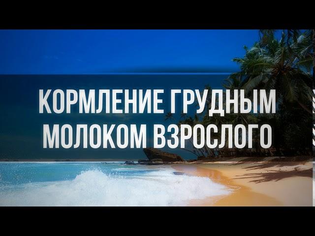 253. Кормление грудным молоком взрослого || Ринат Абу Мухаммад