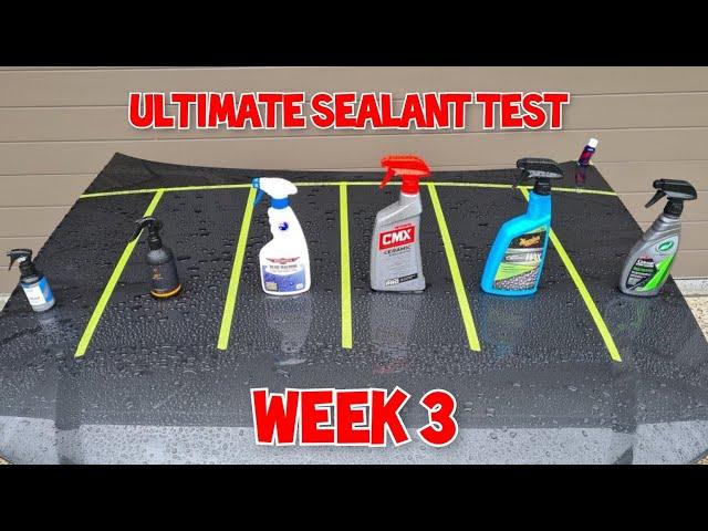 Ultimate Spray Sealant Test 3 Week Update Turtle Wax vs Meguiars vs Mothers v Bowdens v NV vs Carpro