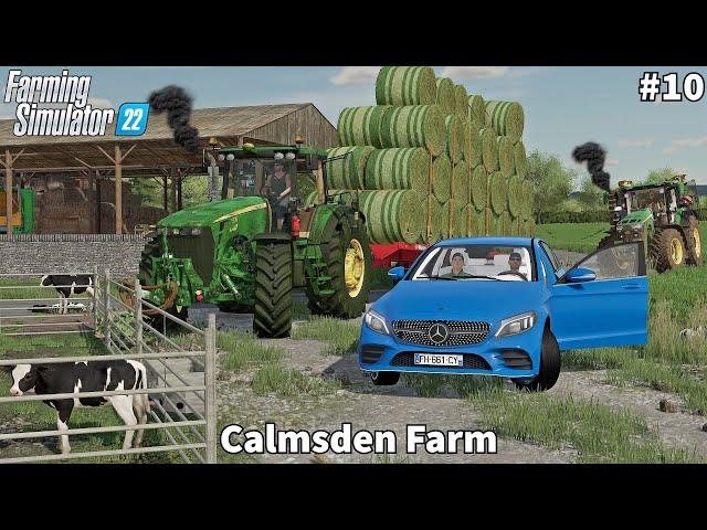 Placing Calf & Feeding Cows, Collecting & Storage Hay Bales │Calmsden│FS 22│Timelapse#10