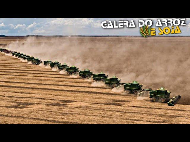 Colheita Da Soja 2021 #07 AGRONEGÓCIO Galera Do Arroz E Soja