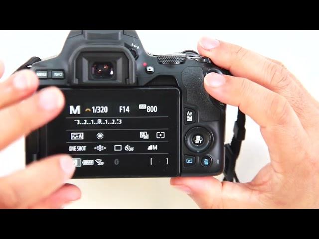 THE BEST CAMERA FOCUSING TUTORIAL