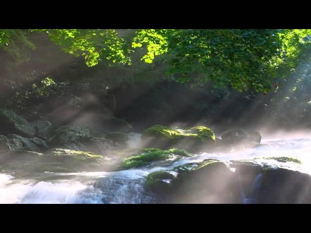 1 hour of Relaxing River Sounds. Ideal for Sleep, Healing or Studying
