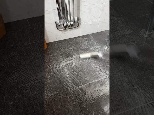 Bathroom floor scrub 🫧 #cleantok #scrubbing #asmrcleaning #satisfying #cleaning #brush #viral #fyp