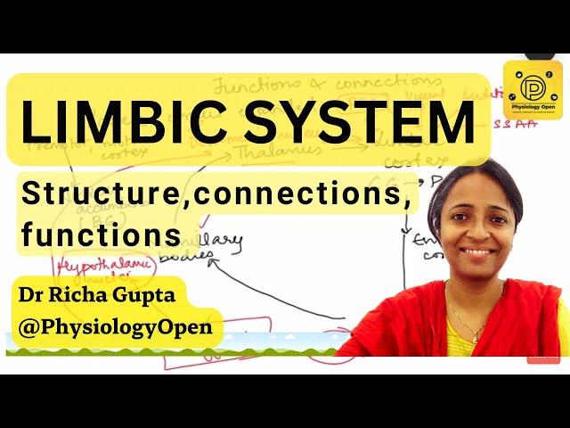 Limbic system |  CNS physiology mbbs 1st year