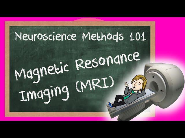 Magnetic Resonance Imaging (MRI) explained | Neuroscience Methods 101