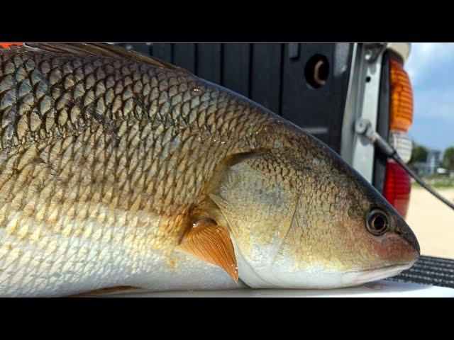 Rattlesnake Island Marsh - Matanzas Inlet, Saint Augustine, Florida - Saltwater Kayak Fishing!