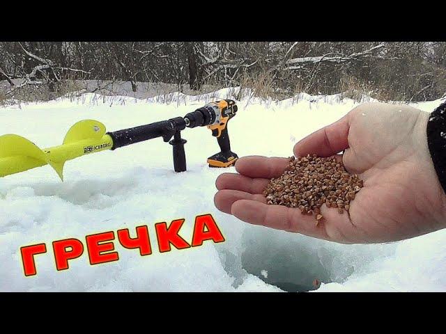 Обычная Гречка Творит ЧУДЕСА! Реакция рыбы! Подводная съемка