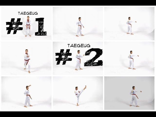 Taekwondo Technique/Complex #1-2