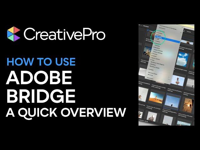 How to Use Bridge: A Quick Overview (Video Tutorial)