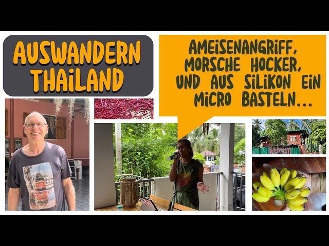 Als Familie nach Thailand auswandern...die Ameisen greifen an und die Hocker sind morsch...