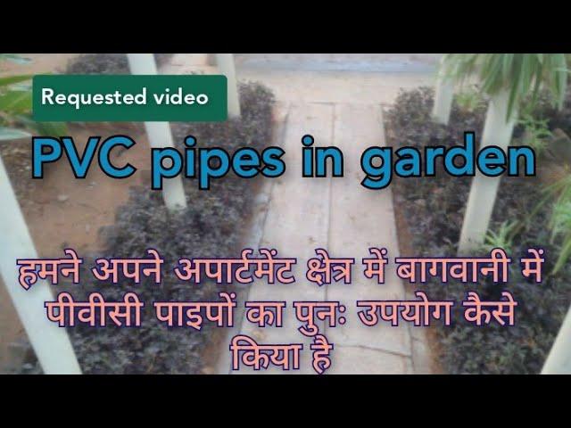 Plants in PVC pipes इस तरह पुराने,टूटेPVC पाइपों का उपयोग कर सकते हैं Reuse PVC pipes in gardening