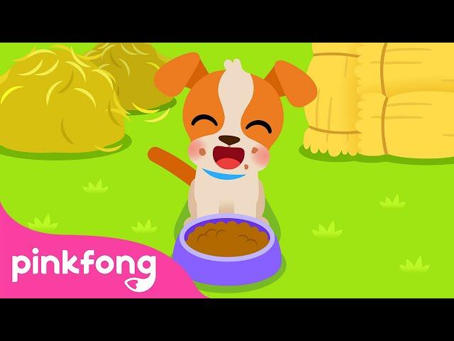 I’m a happy dog! | The Dog Song | Farm Animals | Nursery Rhymes | Animal Songs | Pinkfong Songs