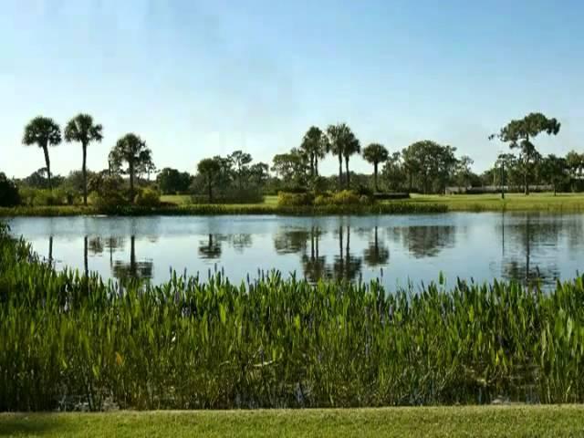 Golfing in Naples