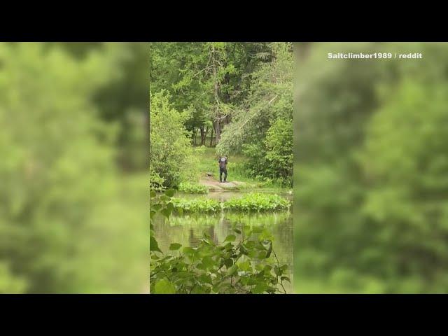 Investigation underway after video shows man abusing turtles at Portland cemetery, officials say