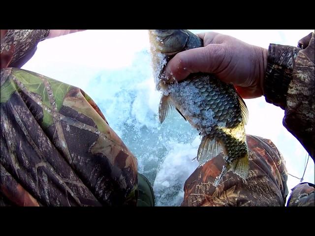 Зимняя рыбалка в Саратовской области. Лебедёвское водохранилище. Ловим карася.