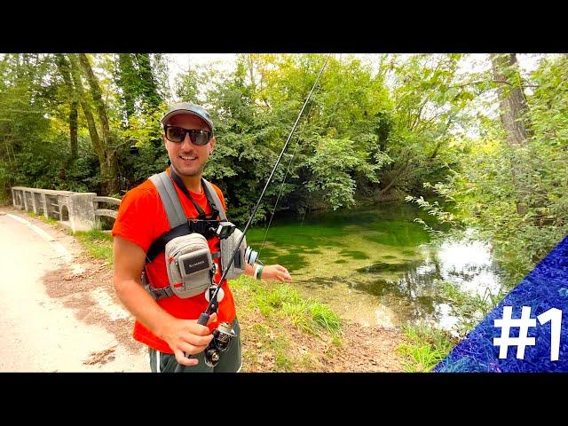 Searching for BIG River Trouts in Friuli Venezia Giulia, Italy + Visit on a Public Aquarium [Part 1]