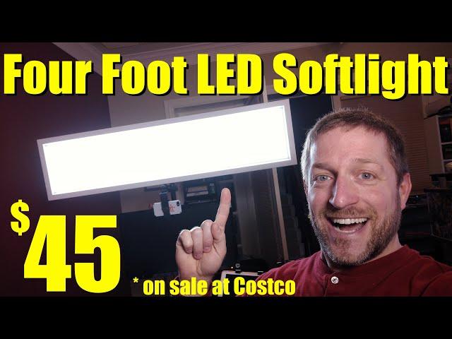 The 4-foot Studio light for $45 — Softlight on a budget!