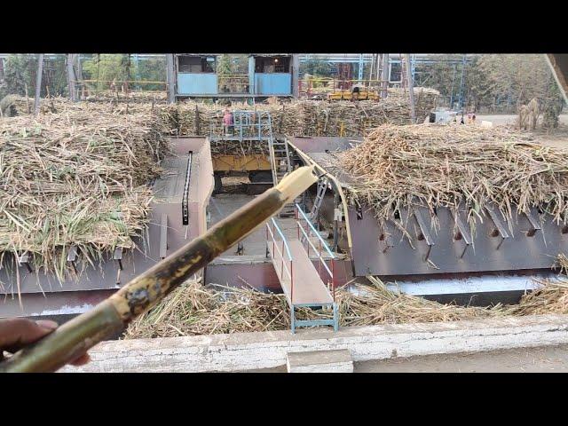 sugar factory video ! sugar making in sugar mill manufacturing process