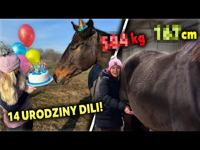 URODZINY DILI  | Ile ważą i mierzą konie? | Lovka przeszła samą siebie…