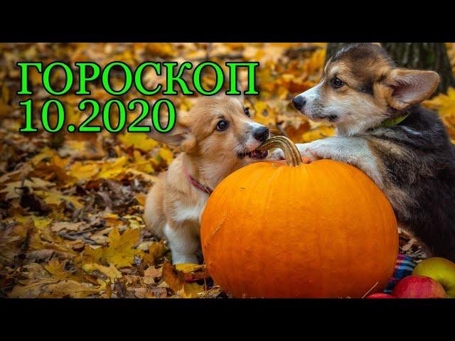 Гороскоп на Октябрь 2020