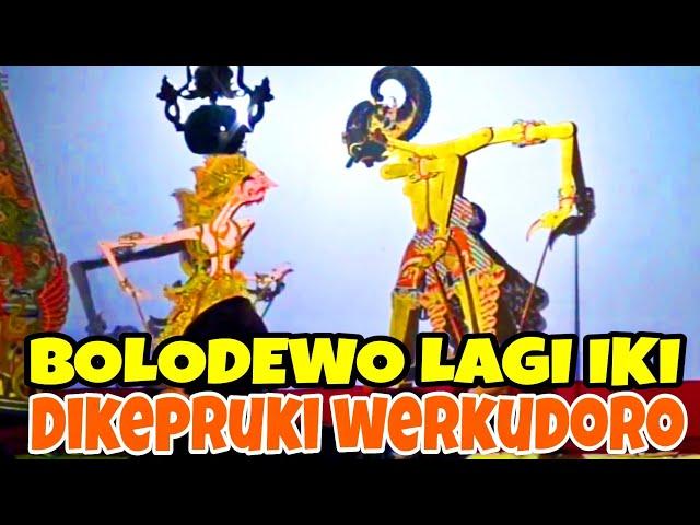 LAGI IKI️Bolodewo diajar werkudoro mergo bolodewo ngetapne kurowo kon ngroyok werkudoro