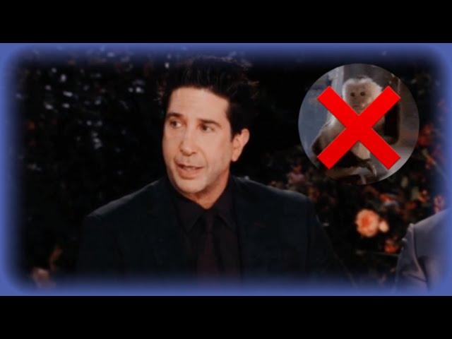 David Schwimmer Hates Marcel The Monkey