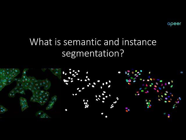 What is semantic and instance segmentation?