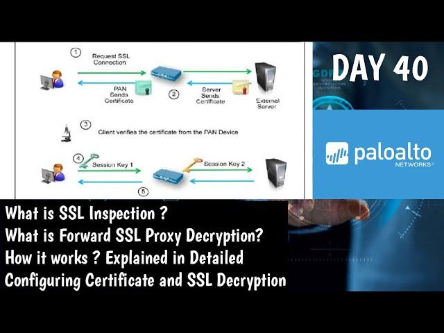 What is SSL Decryption  | Configuration SSL forward proxy | | Concept #PaloAltoTraining | DAY 40