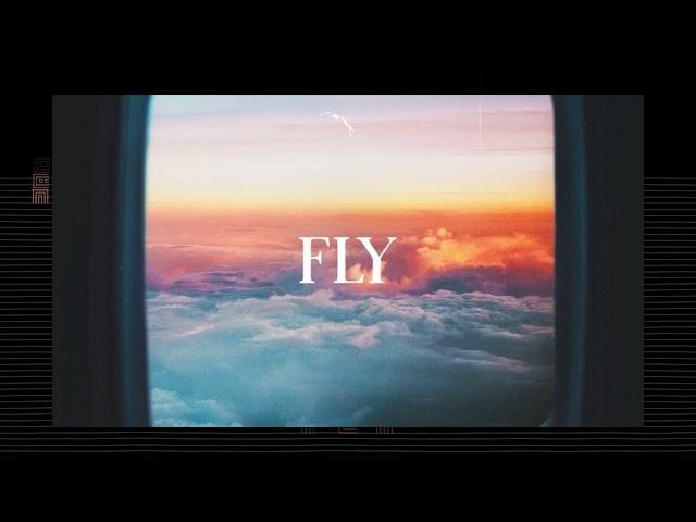 FLY - Sad Emotional Happy Synth Hip-Hop Pop Beat | Prod By Dansonn Beats