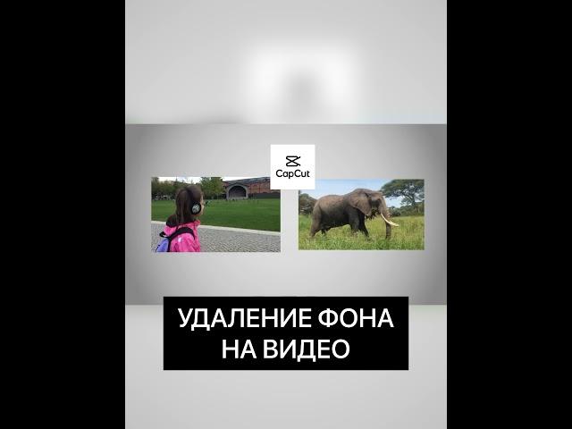 удаление фона на видео