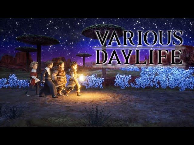 Various Daylife by SquareEnix (iOS Arcade Gameplay)