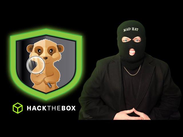 HackTheBox Sherlock Sunday Live | Kali LinuxTrain with Mad Hat