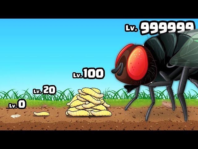 GROWING a MAX LEVEL MAGGOT INSECT in Idle Maggots